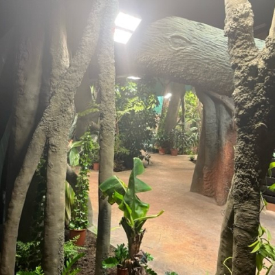 Prágai Állatkert Troja – Gorillapavilon