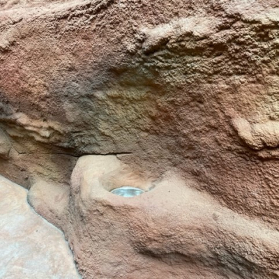 Prágai Állatkert Troja – Gorillapavilon