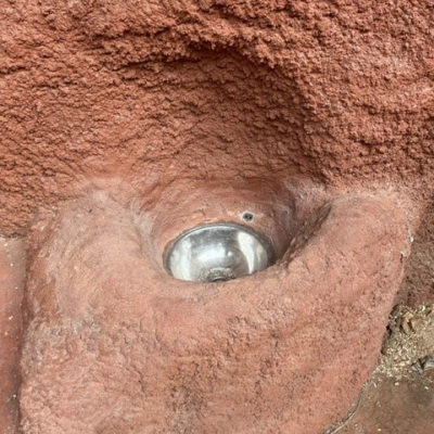 Prágai Állatkert Troja – Gorillapavilon