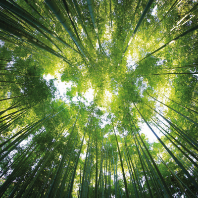 A JÖVŐ GENERÁCIÓIRA GONDOLUNK